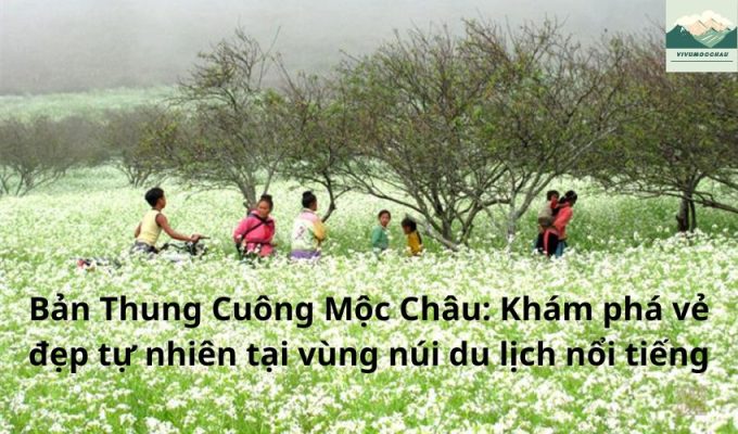 Bản Thung Cuông Mộc Châu: Khám phá vẻ đẹp tự nhiên tại vùng núi du lịch nổi tiếng