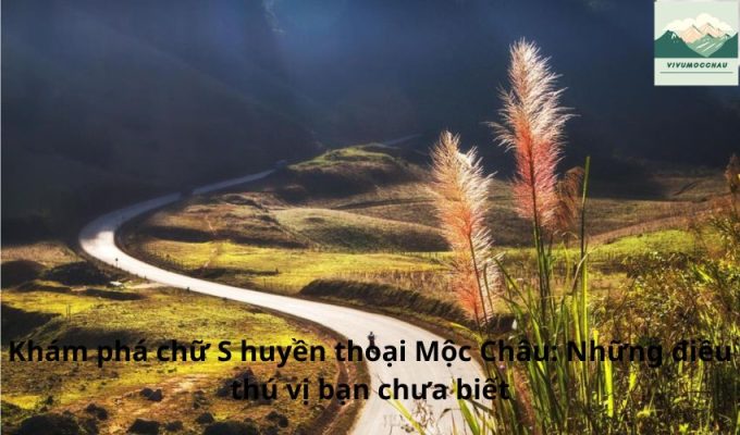 Khám phá chữ S huyền thoại Mộc Châu: Những điều thú vị bạn chưa biết