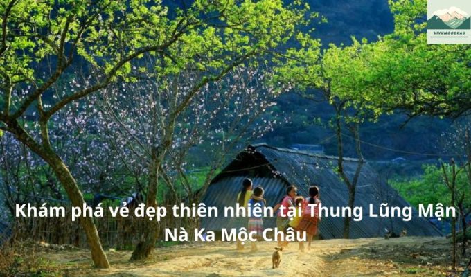 Trải Nghiệm Khám Phá Vườn Hoa Nhiệt Đới Mộc Châu Tuyệt Vời