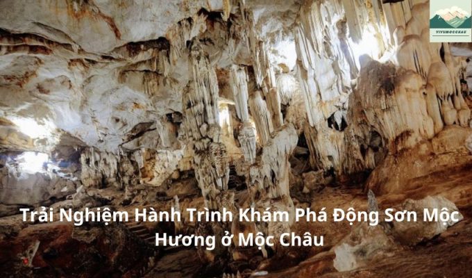 Trải Nghiệm Hành Trình Khám Phá Động Sơn Mộc Hương ở Mộc Châu