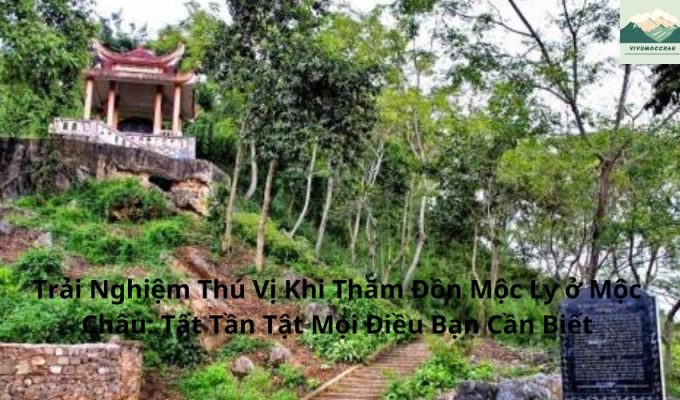 Trải Nghiệm Thú Vị Khi Thăm Đồn Mộc Ly ở Mộc Châu: Tất Tần Tật Mọi Điều Bạn Cần Biết