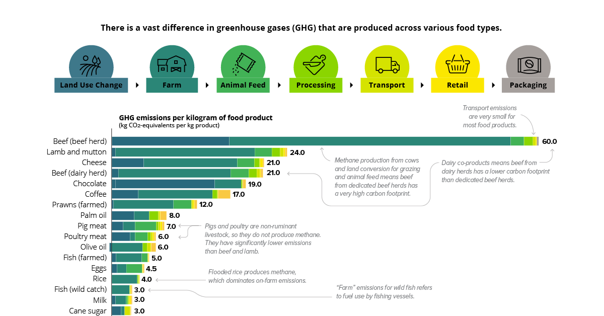 Chart: The Carbon Footprint of the Food Supply Chain Chart: The Carbon Footprint Of The Food Supply Chain